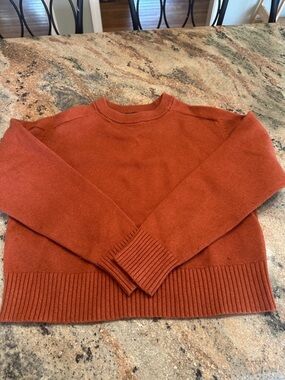 Banana Republic Men's Crewneck Sweater in Rust